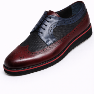 Artollini Navy Maroon Brogue Sneaker