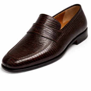 Arbiter Brown Teyus Loafer